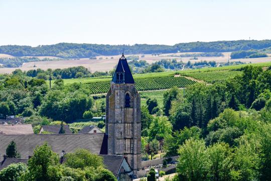 Vue du vignoble 